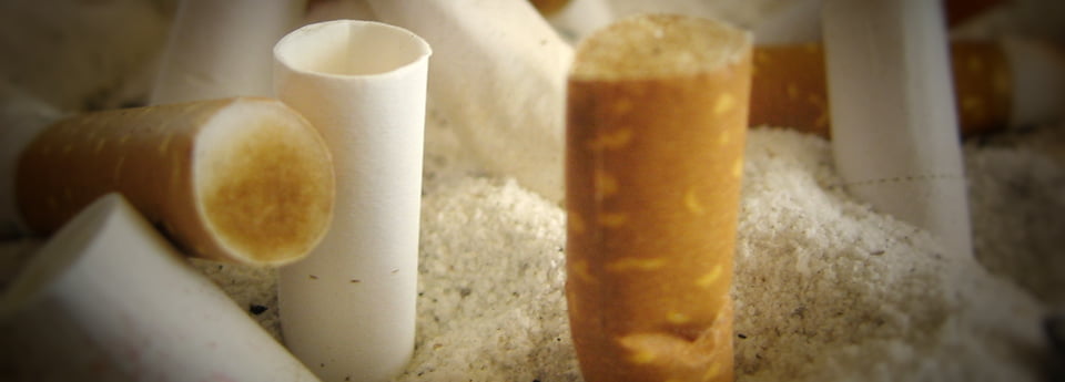 terracycle-megot-carminbook