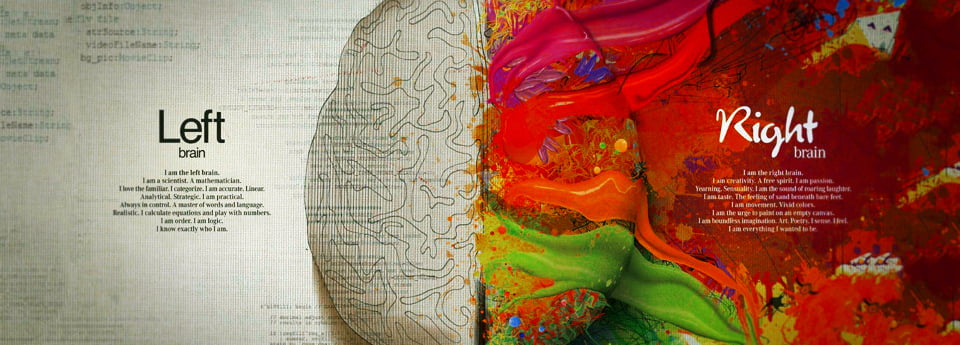 cerveau-carminbook-news